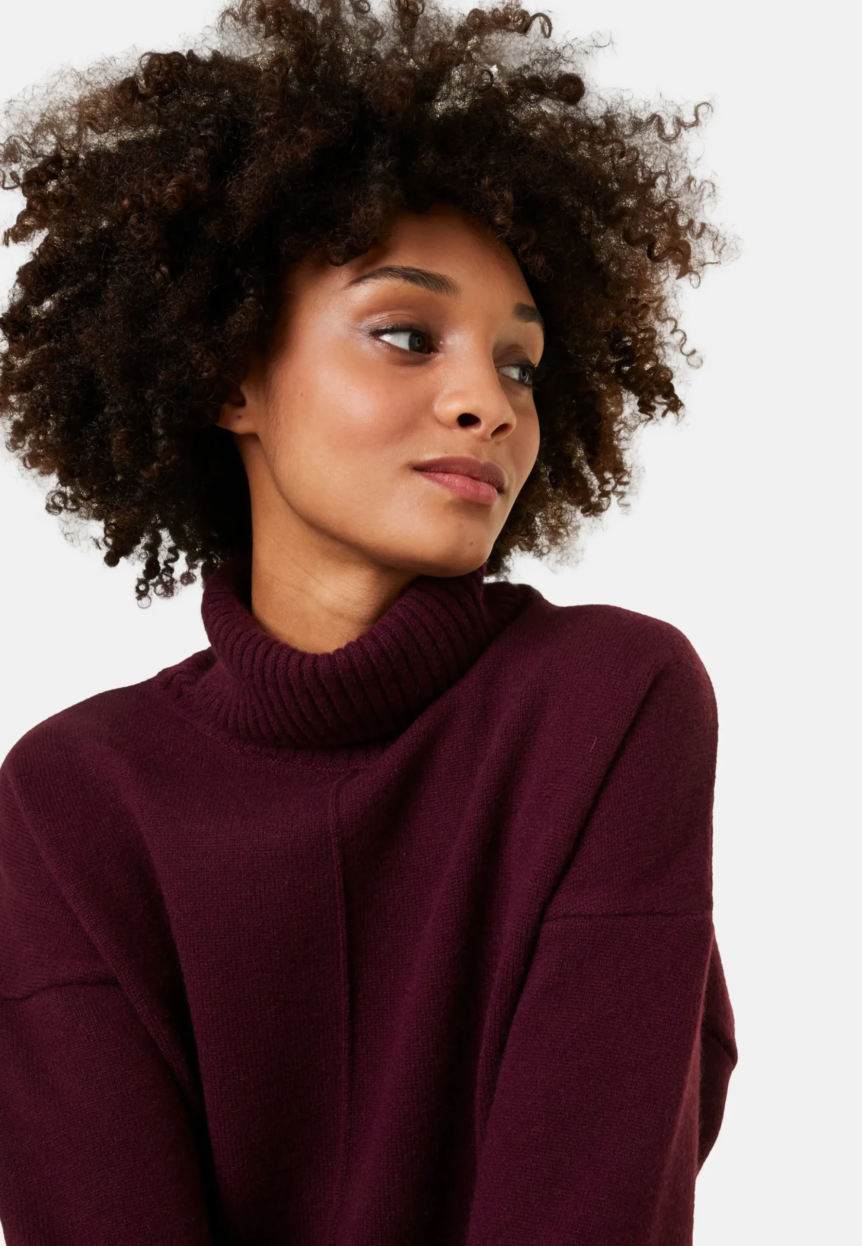 Maison Montagut Pull Col Roule A Fentes En Cachemire 4 Fils - Adena>Femme Pulls